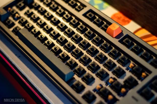 Amazon.co.jp: Gateron Oil King線形予備潤滑5針スイッチ機械