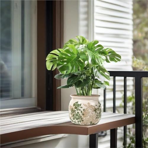 Pots de fleurs amusants en pack de 2 avec finition céramique rétro et rustique