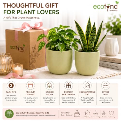 Image of ecofynd 5 Inch Ceramic Plant Pots with Drainage Hole, Modern Decorative Clay Flower Pots for Indoor Plants, Home Garden Decor for Living Room, Bedroom & Interior Spaces (Pack of 2, CPOT041-LGN)
