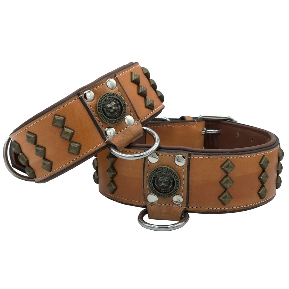 Leather Big Dog Collar - Wide Studded With Lion Soft Padding (Neck 17'' to 20'' Inches)