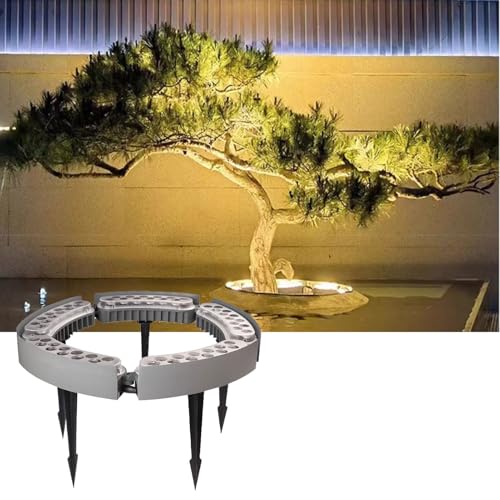 Éclairage sans fil extensible de palmier avec lampe circulaire 12W