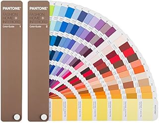 Pantone FHI Color Guide 2310colore grafico a colore - grafico a colore - grafico a colore