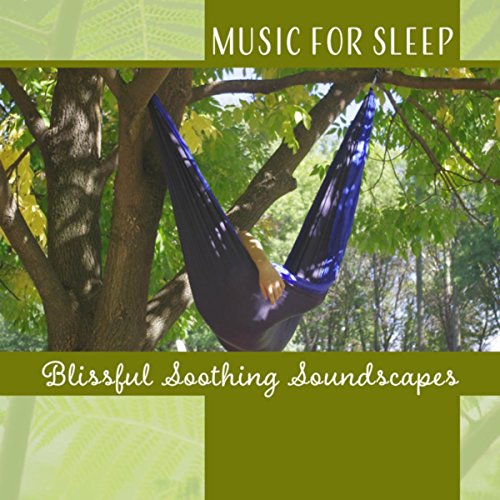 Amazon Music Healing Meditation ZoneのMusic for Sleep Blissful Soothing Soundscapes to Help