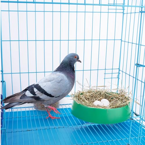 Image of DQITJ 10 Pack Plastic Small Bird Nests Pigeon Nesting Bowls Quails Breeding Hatching Nest Canary Nest for Home Farm