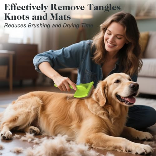 Brosse de toilettage pour chiens labradoodles dorés enlever nœuds