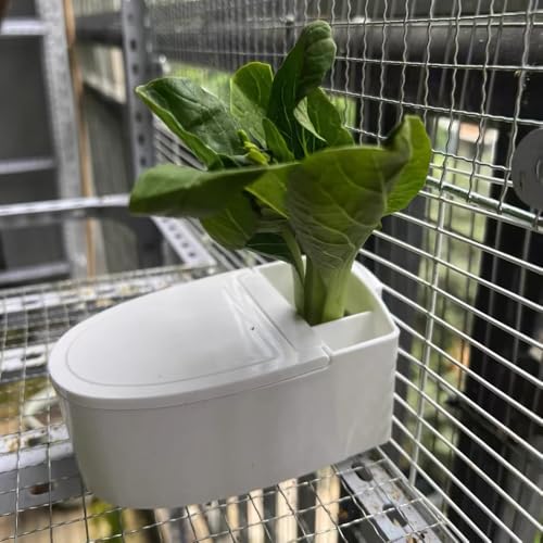 Nopikku Ferramenta de treinamento de vaso sanitário para pássaros de estimação montada na parede, ac