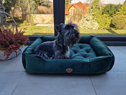 Dogs4Life Hundebett Velours XXL 135 x 100 cm | Hundebett für sehr große Hunde | Orthopädisch | Hundekissen | Waschbar | Outdoor | Mit Rand | Wasserabweisend (XL, Grünes Velours)