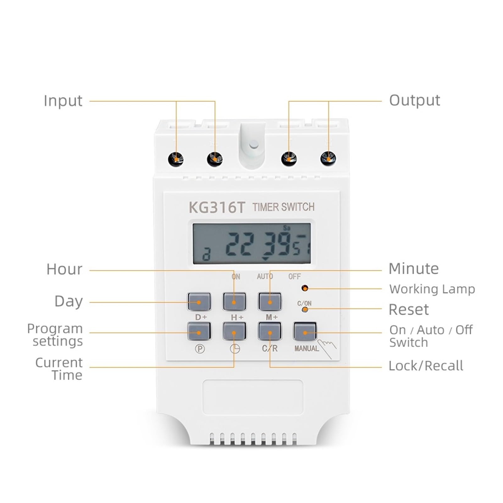 Amazon.com: RWRAPS Digital Timer Switch Relay, Weekly 7 Days