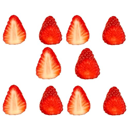 {聙 10Zbg HiTv   Ɩp t[c JtF Lb`J[ N[v fBXvC U