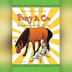 Couverture de Sandheden om Elvis