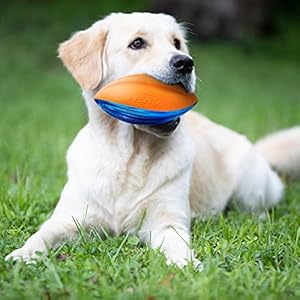 Nerf Dog Rubber Football Dog Toy with Interactive Squeaker Lightweight Durable and Water Resistant 6 Inches for MediumLarge Breeds Single Unit Blue and Orange