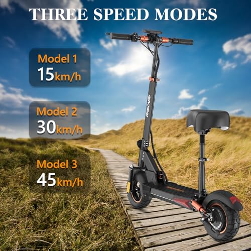 iENYRID Electric Scooter, 1000W Peak Power Motor E-Scooter