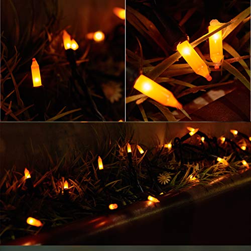 image for Twinkle Star Halloween Lights, 150 Lights Incandescent Mini Christmas 