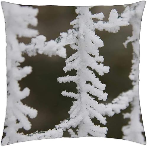 Throw Pillow Cover (18x18 inch) - Winter Snow Icing Fence Nature Miracle