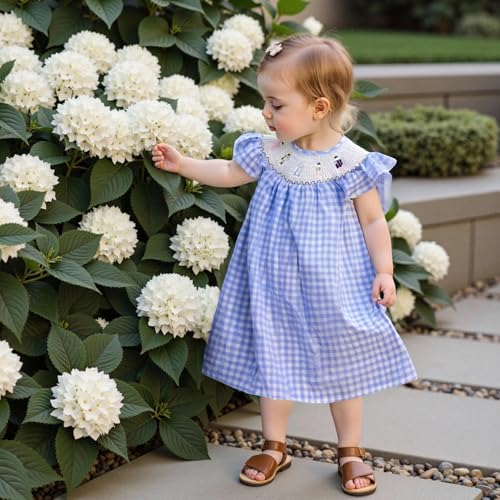 Kids Toddler Girl Back to School Outfit Pencil Plaid Fly Sleeve Smocked Dress First Day of School Clothes Summer2