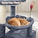 Tuaoeef Cat Tree with Cat Condo and Two Hammocks, Cat Tree with Scratching Posts and Scratching Pads, Cat Tower for Indoor Cats, Activity Centre Climbing Tree with Playful Toy Balls, Grey