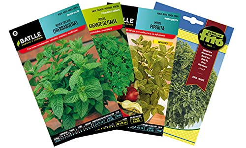 PLANTAWA Pack Semillas Aromáticas, Surtido de Semillas, 4 Variedades para Plantar en Jardín o Terraza, Set de Semillas Aromáticas para Huerto Urbano Siembra en Jardín