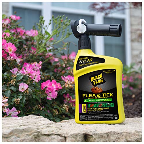 Black Flag Flea And Tick Killer Concentrate Yard Treatment, 32 Ounces, Ready To Spray, Quickflip Hose End Sprayer #TOP4