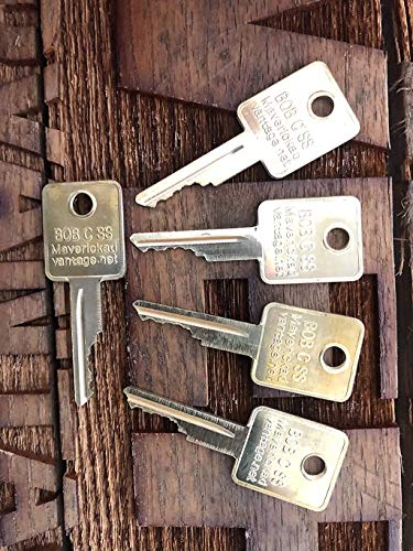 Keys fit Case IH Bobcat Vermeer JLG Grove Terex Timberjack Ingersol-Rand (Replaces Case OEM nos A77313) (10)