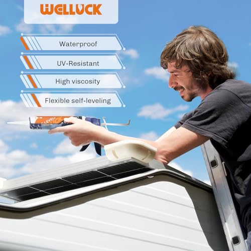 Welluck PL0065 Self Leveling Lap Sealant White Rv Roof Sealant thumb #3