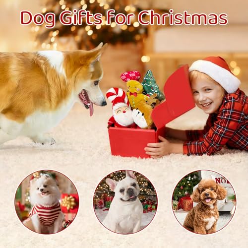 Juguetes Navideños para Perros Pequeños, Set 7 Piezas miniatura 6
