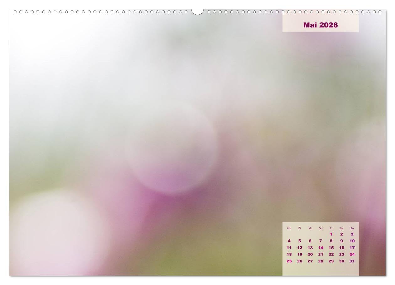 Meine Familie - mein Leben - die schönsten Momente - Bastelkalender (hochwertiger Premium Wandkalender 2026 DIN A2 quer), Kunstdruck in Hochglanz: ... in Szene gesetzt werden (CALVENDO Menschen)