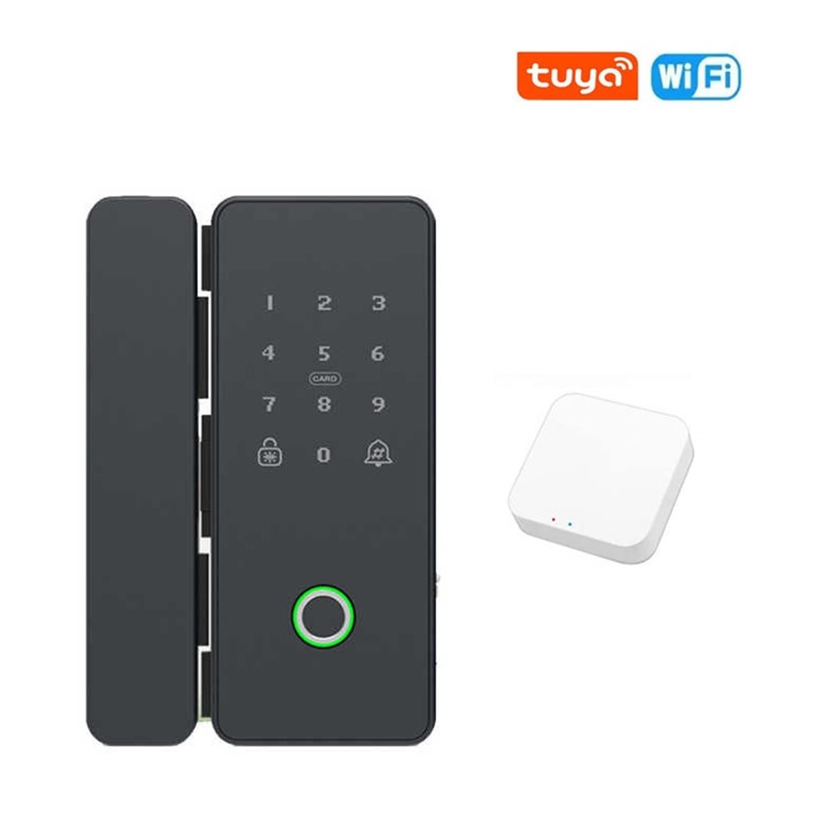 TUYA Glast Glast DEIPPRINT LECCHE Smart Smart Biometron Electronic Lock Lock Lock Lock Trapri Gratuito per Office - Smart Lock (Tuya con Gateway, Tipo C) Progresso Octopus Feet