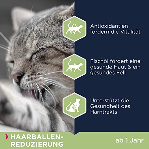 Eukanuba Anti-Haarballen Katzenfutter - Premium Trockenfutter zur Reduzierung von Haarballen, 2 kg