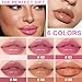 Meilury 6 PCS Hydrating Lip Oil, Big Brush Head Lip Glaze Shiny Transparent Lip Glow Oil, Nourishing & Non-sticky Long Lasting Fresh Clear Smooth Lip Care Plumping Lip Oil (SET B)