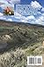 Pedal into the Wind: Bicycling the USA on Route 20