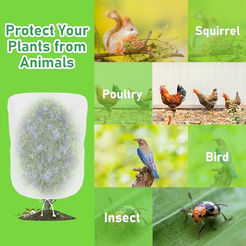 Image of Evoio 4 Pcs Garden Plant Fruit Tree Bird Netting Protection Blueberry Bushes Netting Covers Bags with Drawstring, 4 x 4.6 ft Shrubs Bush Tomato Strawberry Berry Barrier Mesh Cover Net Protector