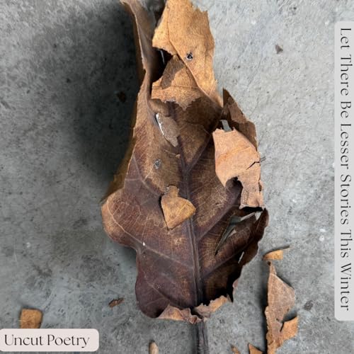 Let There Be Fewer Stories This Winter