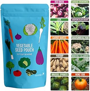 Scott & Co. Vegetable Seeds Variety Pack, UK Veg Indoor and Outdoor Planting, Carrot, Broccoli, Onion, Tomato, Aubergine, Cabbage, Parsnip, Sprout, Leek, Cauliflower, Gardening Gifts for Men and Women