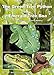 The Green Tree Python and Emerald Tree Boa: Care, Breeding and Natural History, Second Extended Edition