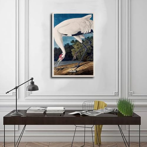 Hooping Crane Audubon poster toile grand format pour mur vide