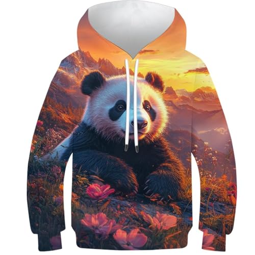 Sweat à capuche panda avec imprimé graphique manches longues pour look sport décontracté