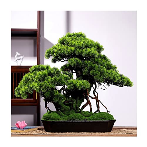 Bonsai Künstlich Die 16 besten Produkte im Vergleich Produktratgeber