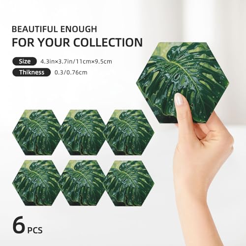 Dessous de verre céramique absorbante avec support liège table boisson - 4