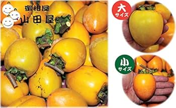 りーちゃん様お得意出品ページ渋柿20Kg おーちゃん様渋柿20kg