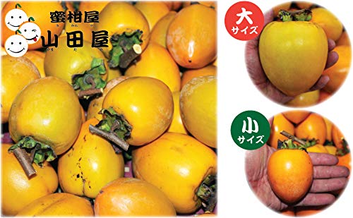 愛媛産 渋柿（愛宕柿）大〜中サイズ20キロ（家庭用） Amazon.co.jp: 愛媛産 渋柿（愛宕柿）大～中サイズ20k（家庭用