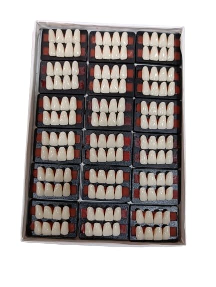Dental Leo Dent Acrylic Teeth Kit Sets Shade Of Teeth Upper 4-23-image-42