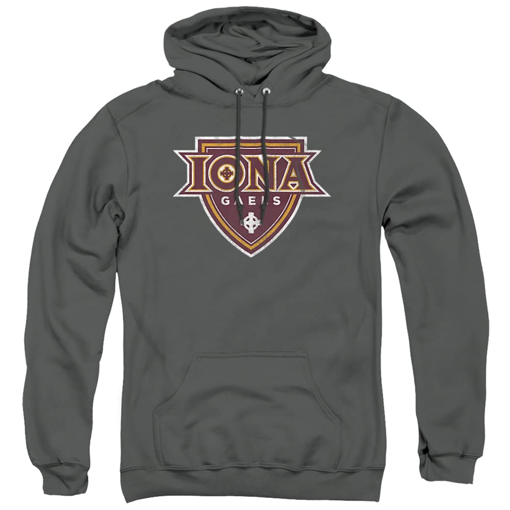 LOGOVISION Official Collegiate Distressed Primary Logo Adult Pullover Hoodie Collection — view 485