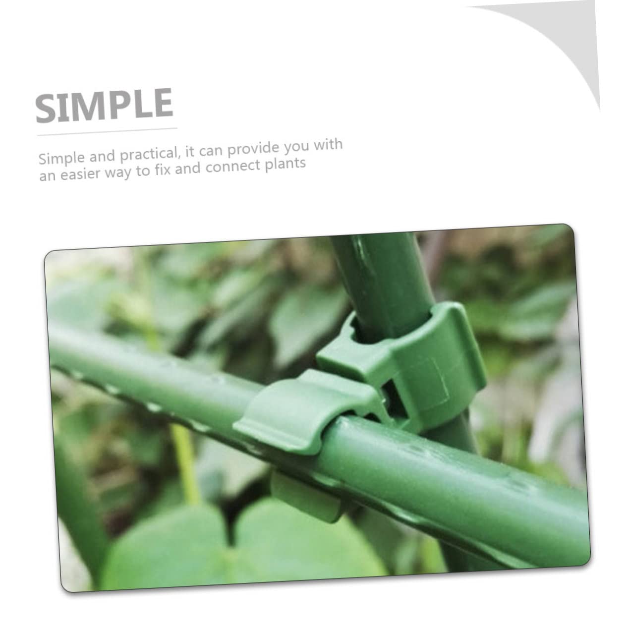 Didiseaon 5 Set Supporto per Rampicanti Accessori per Dispositivi di Estrazione Supporto per Piante in Rattan Legare Il Filo Traliccio da Giardino con Traliccio Clip per Piante da 50 Pezzi*5
