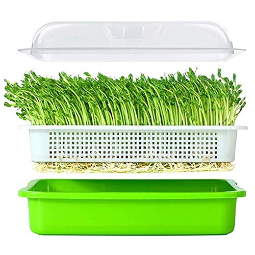 Wheatgrass Seeds Seed Sprouter Tray With Lid Bean Sprout Grower Germination Kit
