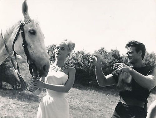 STEVE REEVES/VIRNA LISI/7X9 ORIGINAL PHOTO BB1902 at Amazon's Entertainment Collectibles Store