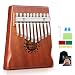 Donner 10 Key Kalimba Thumb Piano Solid Finger Piano Mahogany Body DKL-10