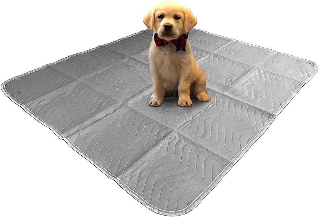 Washable, reusable, dog pee pads, Extra Large(36'X42'), 2-pack, super absorbent, grey, anti-skid gel dots, training, whelping,…