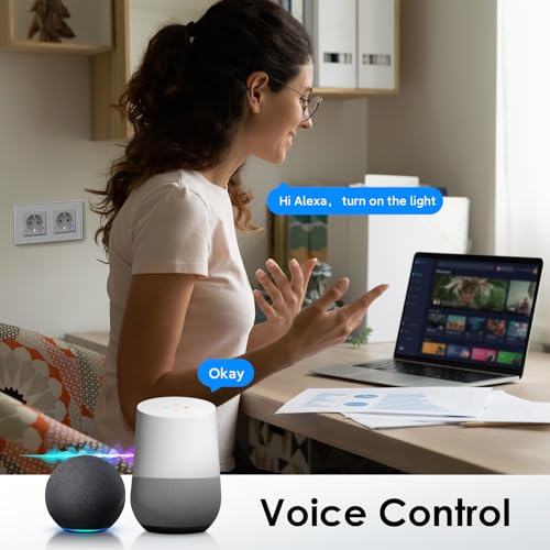 BSEED Wlan Schuko Steckdose mit USB C 20W Schnellladeger&auml;t,Smart Steckdose Unterputz mit Strommessung,Arbeit mit Alexa/Google Home,Stromz&auml;hler f&uuml;r Doppelsteckdose mit Smart Life App,2 Fach 157mm Grau