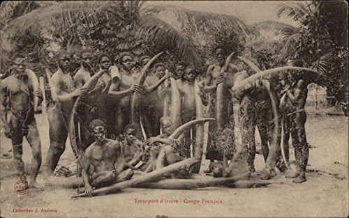Transport d'ivorie Africa Congo Original Antique Postcard