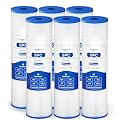 Whole House 50 Micron 10" x 2.5" Pleated Sediment Well Water Filter Cartridge Replacement for W50PE, SPC-25-1050, ECP50-10, R50, FM-50-975, WHKF-WHPL, WPC50-975 & Cold Plunge Water Chiller (Pack of 6)